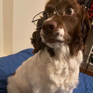 Meet your Posher, Steve